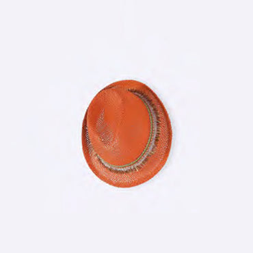Panama Fringes Hat